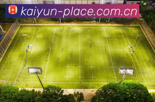 开云平台生态图